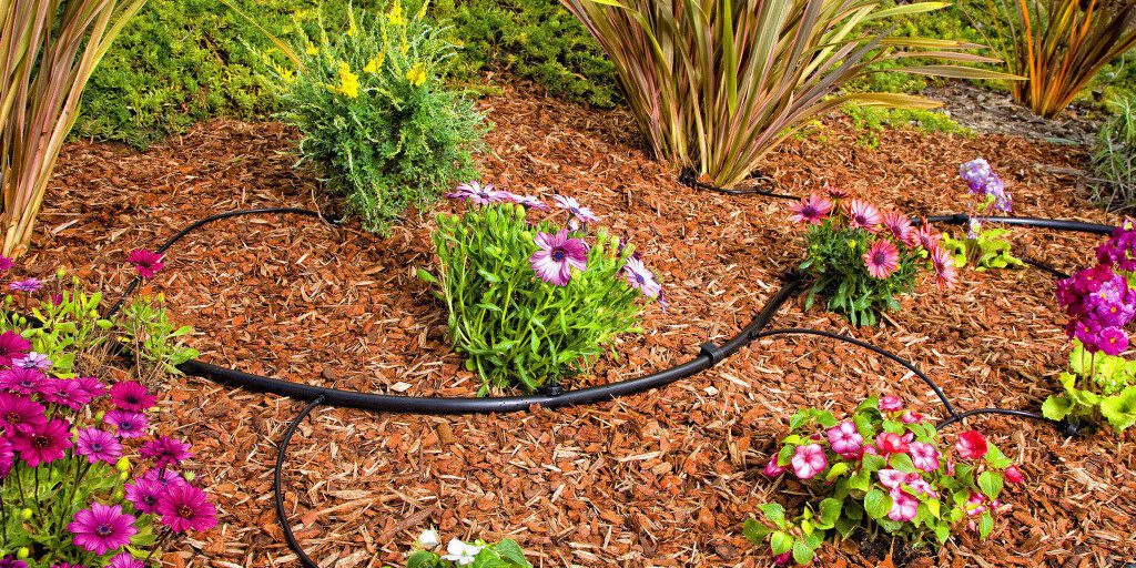 Drip Irrigation helps water reach all plant roots