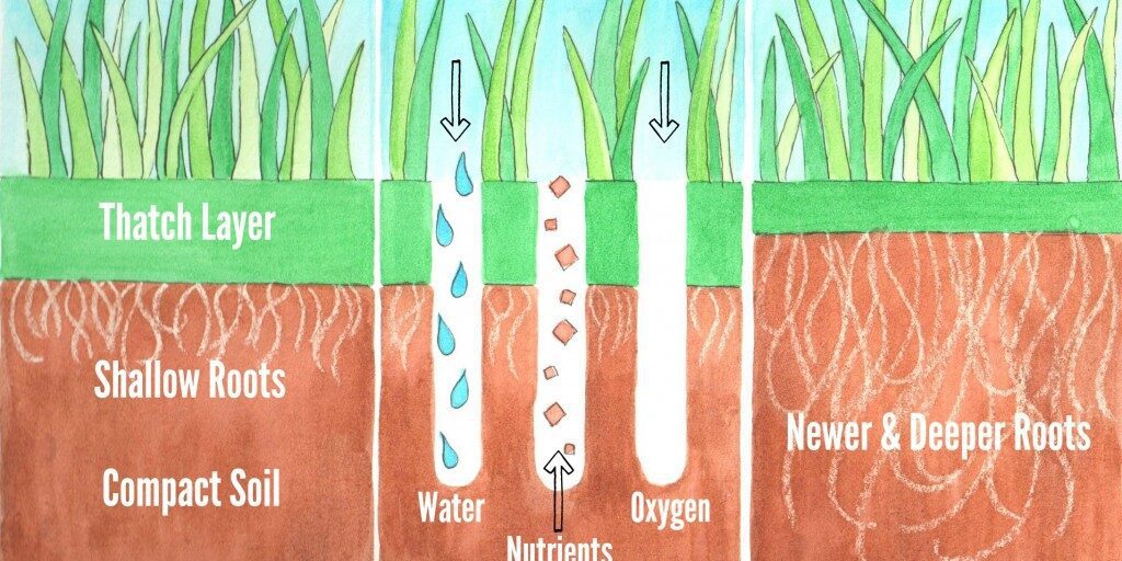 An illustration of the lawn aeration process