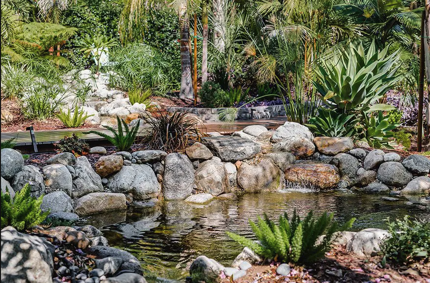 A beautiful pond with rocks and grass