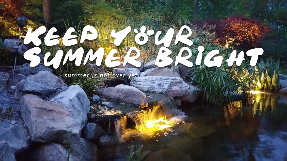 Pond and landscape Lighting summer banner