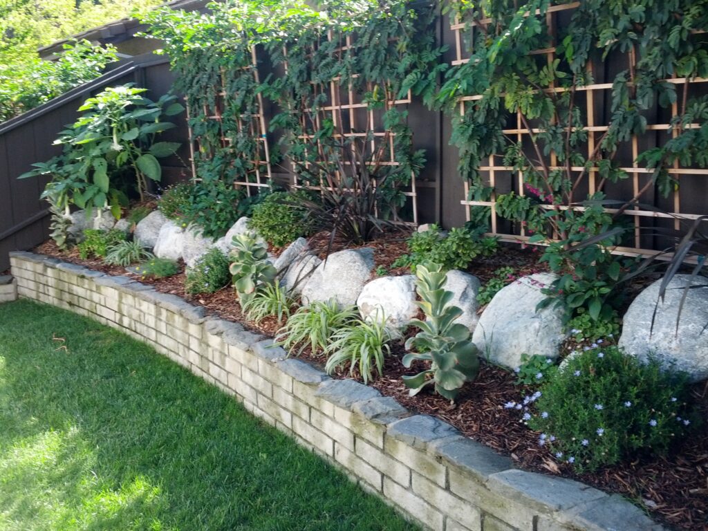 Garden with a piled of rock and plants