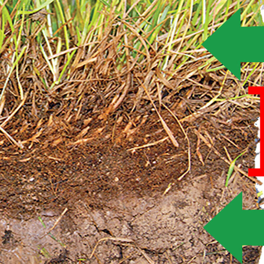 Understanding the basic elements of grass and soil