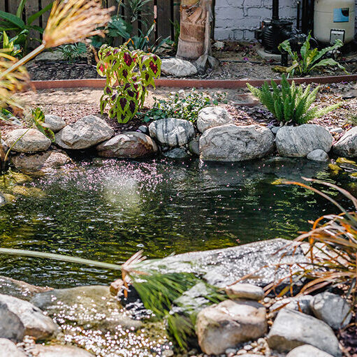 A pond surrounded by rocks in a private property