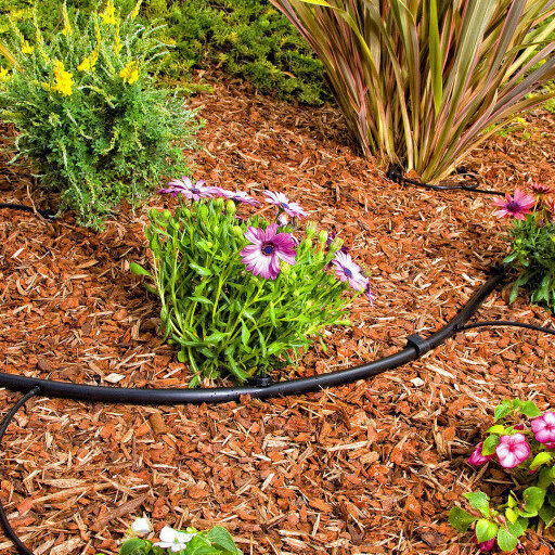 Drip Irrigation helps water reach all plant roots